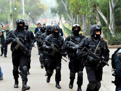 NSG Black cat commando