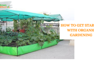 Organic Gardening