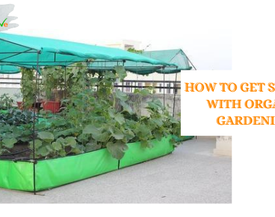 Organic Gardening