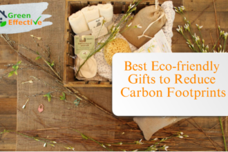 Best eco-friendly gift products