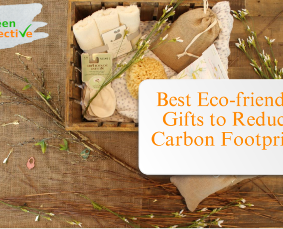 Best eco-friendly gift products